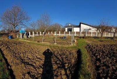 Teren de 650 mp, în Exterior Vest - 2