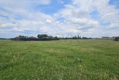 Teren Construcții intravilan de 362 mp, în Bran