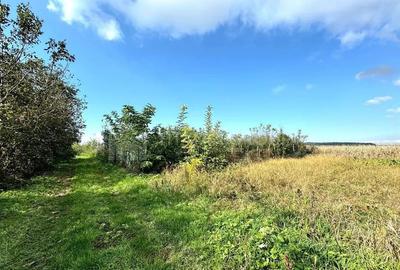 Teren de 2902 mp, în Dămienești - 15