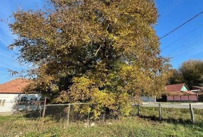 Casă cu 2 camere în Bunești - 4