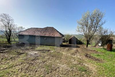 Casa cu 10000mp de teren in Buza, la 50 km de Cluj-Napoca - 10