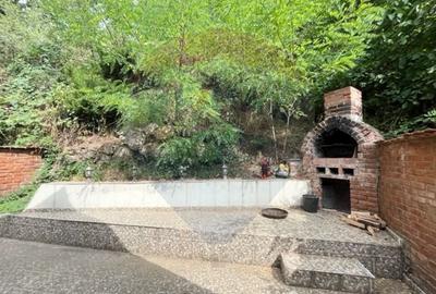 Casă individuală cu 7 camere cu Teren 167 Mp în Sibiel - 10