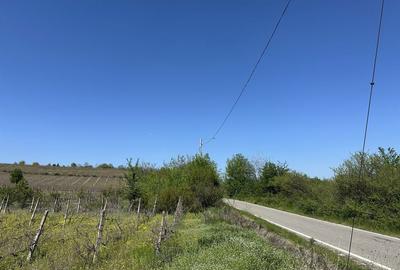 Spațiu comercial, în Drăgășani - 3