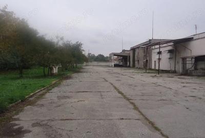 Spațiu comercial, de 10,000 mp, în Drăguțești - 1