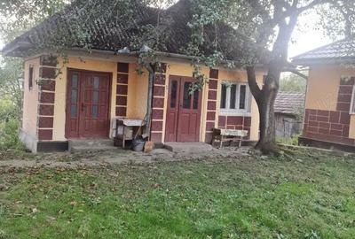 Casă cu 3 camere cu Teren 7000 Mp în Asuaju de Sus - 9
