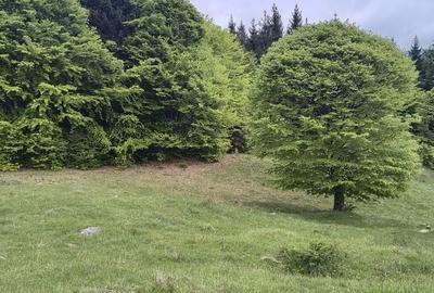 Spațiu comercial, în Mlăceni - 2