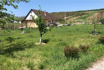 Spațiu comercial, de 100 mp, în Plopana - 3