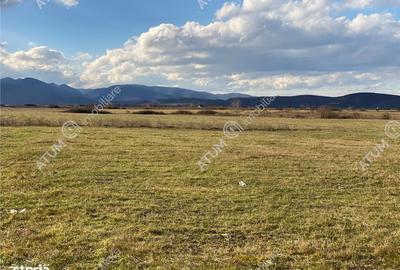 Spațiu comercial, în Cristian - 6