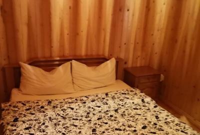 Cabana vacanta 4 dormitoare Azuga, Prahova - 10