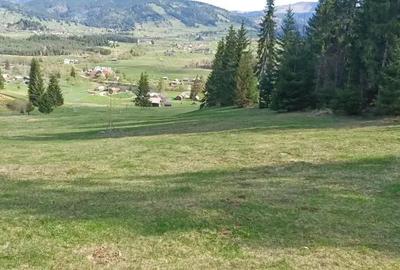 Teren de 28307 mp, în Coșna - 8
