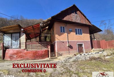 Casă cu 2 camere cu Teren 55 Mp în Fărău - 12