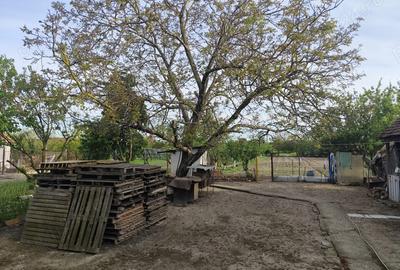 Vand casa cu teren sat Sarbova - 8