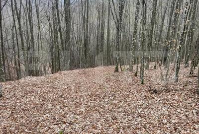 Teren de 3500 mp, în Central - 9