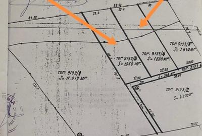De vanzare 1950 mp teren in Paltinis Sibiu langa Arka Parc si Arena Platos - 6