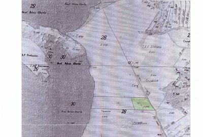 Teren de 70000 mp, în Sântejude - 3