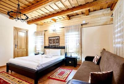 Pensiune traditionala cu clientela formata, Viseu de Sus, Ma - 1