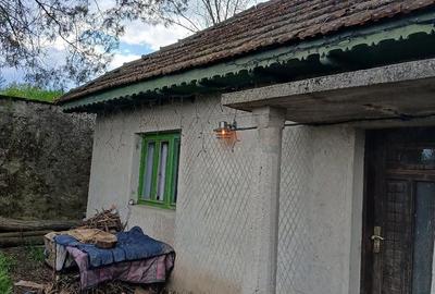 Casă cu Teren 2000 Mp în Cerchezu - 8