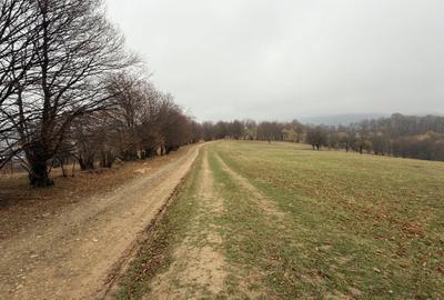 Teren spectaculos 3,5HA zona Cisnadioara - 5