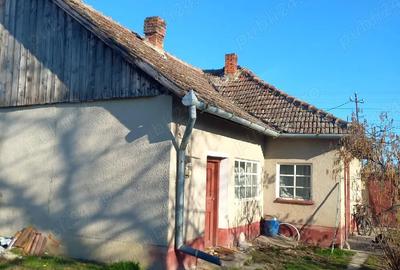 Casă cu Teren 3435 Mp în Boiu - 4