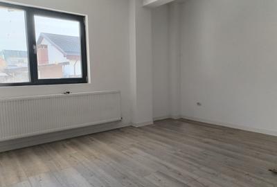 Apartament 2 camere cu curte proprie. - 2