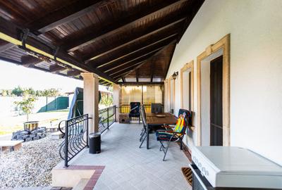 Refugiul Perfect de Lângă Timișoara - 28