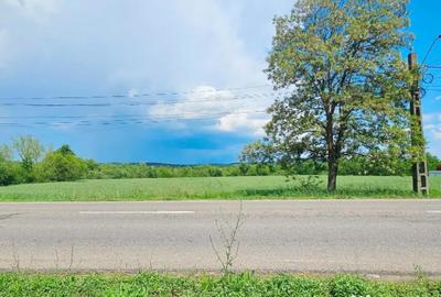 Casă cu 4 camere cu Teren 7481 Mp în Bodești - 1