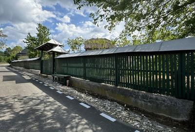 Casă cu 2 camere în Suduleni - 4