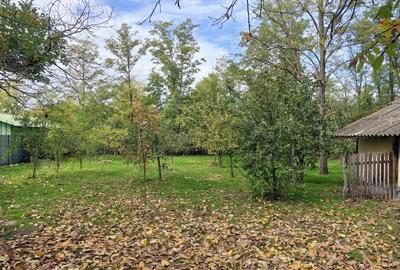 Casă cu 4 camere în Vlad Țepeș - 1