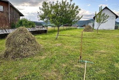 Casă cu Teren 3536 Mp în Coșna - 5