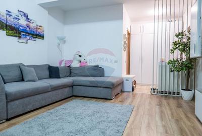 Apartament cu 1 camere de vanzare in zona Fundeni Apartament cu 1 camere de vanzare in zona Fundeni - 4