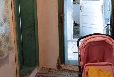 Casă cu 4 camere cu Teren 4200 Mp în Izvoru (Gogoșari) - 4
