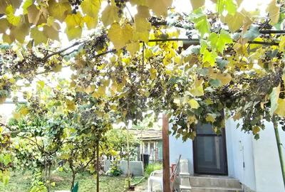 Casa 3 camere 92 mp, 338 mp de teren - 10