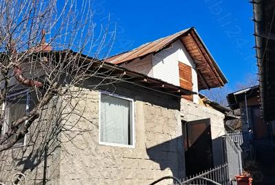 Casa Telega de vanzare - 6