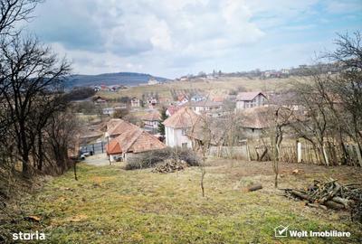 Casă cu 2 camere în Feleacu - 10