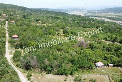 Teren de 2270 mp, în Valea Brazilor - 2