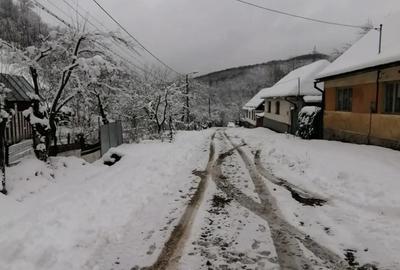 Casă cu 4 camere cu Teren 2800 Mp în Central