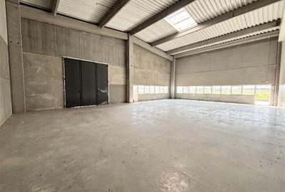 Spațiu industrial, de 255 mp, în Vest - 11