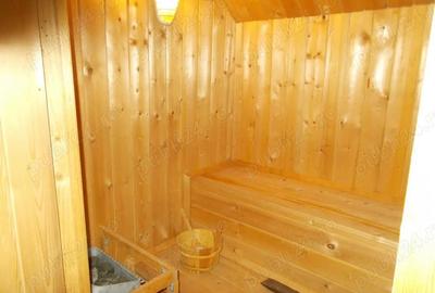 Vila, Timisoara, D+P+E+pod, zona Lipovei, 7 cam, 480mp teren - 15