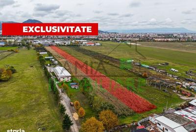 Spațiu comercial, în Tractorul - 1