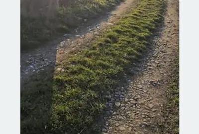 Teren de 1780 mp, în Sânmartin - 1
