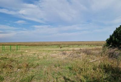 Spațiu comercial, în Vadu - 5