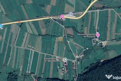 Teren de 5886 mp, în Bucșoaia - 8
