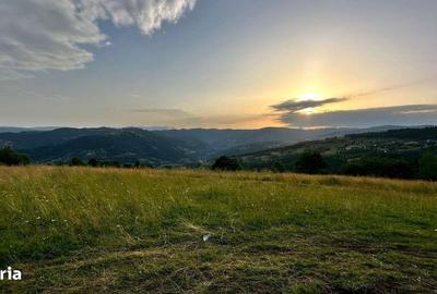 Spațiu comercial, în Horea - 3
