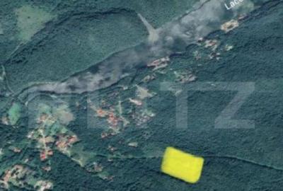 Teren cu suprafa?a de 40.429 mp la Crivaia, Lacul Valiug! - 1