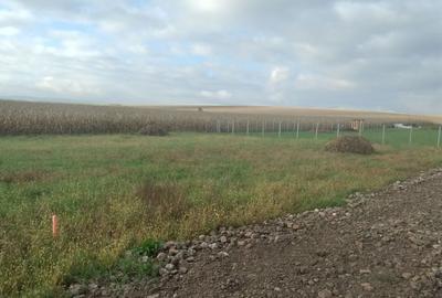 Spațiu comercial, în Simeria - 2