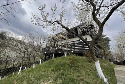 Casa de vacanta**Panorama spectaculoasa//Provita de Jos_Prahova - 3