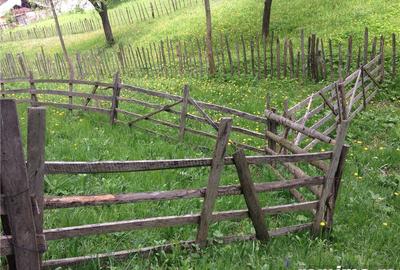 Teren de 2508 mp, în Aluniș - 3