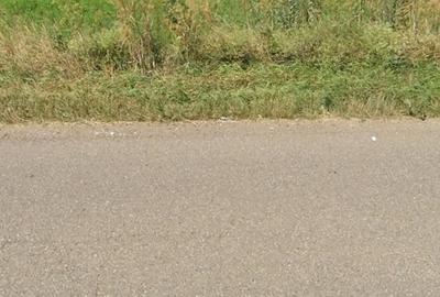 Teren de 2500 mp, în Girov