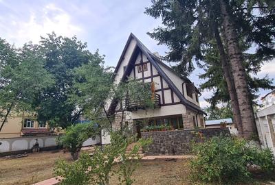 Vila de pe cărțile poștale - 9