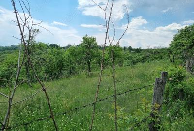 Teren în Milcoiu - 4
